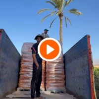 photo de livraison pour Le Coeur sur la Patte