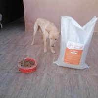 photo de livraison pour L'Arche de Noé