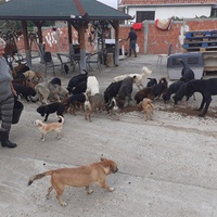 photo de livraison pour ПРИХВАТИЛИШТЕ ДРАЖЕВАЦ