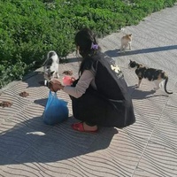 photo de livraison pour ADAN Essaouira