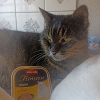 photo de livraison pour CAPPA