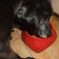 photo de livraison pour AVRAH