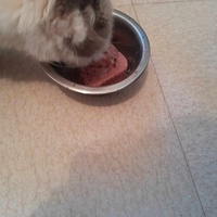 photo de livraison pour Cosette