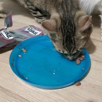 photo de livraison pour Les Pattounes de l'Espoir