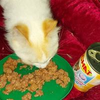 photo de livraison pour Samantha Réaux