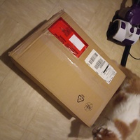 photo de livraison pour Protect Cat