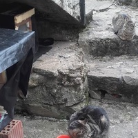 photo de livraison pour La Bergerie et Compagnie