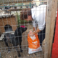 photo de livraison pour Innocente