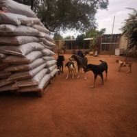photo de livraison pour Help Adopt Moroccan Animals
