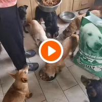 photo de livraison pour ПРИХВАТИЛИШТЕ ДРАЖЕВАЦ