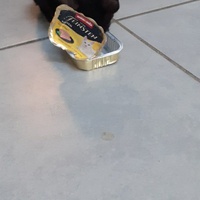 photo de livraison pour Les Chats libres de Fleurance