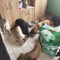 photo de livraison pour ПРИХВАТИЛИШТЕ ДРАЖЕВАЦ