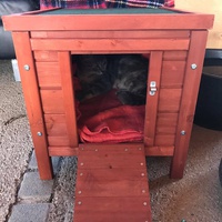 photo de livraison pour L'Arche de Ploum