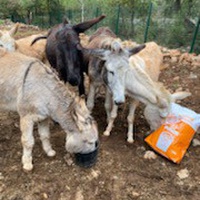 photo de livraison pour Equi-Vivre