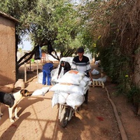 photo de livraison pour Help Adopt Moroccan Animals