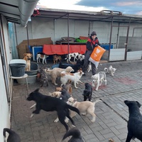 photo de livraison pour Associtia Axi Hope Romania