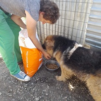 photo de livraison pour Innocente