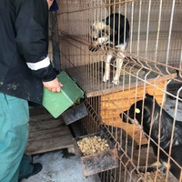 photo de livraison pour Florentina Cioaca