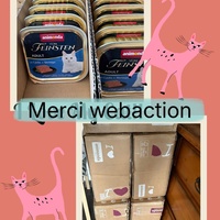 photo de livraison pour Chat Gratouille