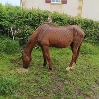 photo de livraison pour Les Rives du Bonheur 