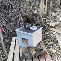 photo de livraison pour Les Chats Perchés de Mirmande
