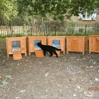 photo de livraison pour Adoption Féline Estuaire