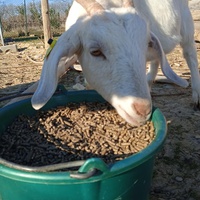 photo de livraison pour La Ferme des Zanimobiles