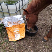 photo de livraison pour Equi-Libre : Droit à la Retraite Equine