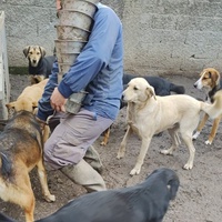 photo de livraison pour Svetlana Bjelogrlic
