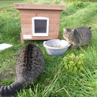 photo de livraison pour Ecole du chat libre de Belle Ile en mer