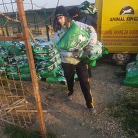photo de livraison pour Udruženje za zaštitu životinja "Pongo"