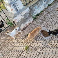 photo de livraison pour Kawthar Maree