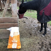photo de livraison pour Les Chevaux d'Elo