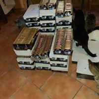 photo de livraison pour Cruzy Cat 34