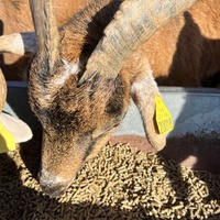photo de livraison pour Refuge du Poil à la Plume