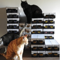 photo de livraison pour Ecole du Chat Libre de Caillerot