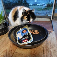 photo de livraison pour Au Rendez-vous des Animaux