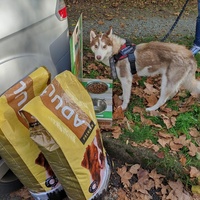 photo de livraison pour Programme alimentaire Animal Webaction