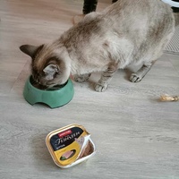 photo de livraison pour Les Pattes de l'Espoir 