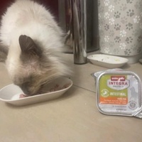 photo de livraison pour SOS COUSSINETS AUDOIS