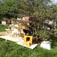 photo de livraison pour Chats errants du val du crenu