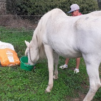 photo de livraison pour Association hippique du Caroux