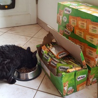 photo de livraison pour Gamelles sans Frontière