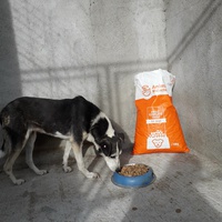 photo de livraison pour Speranta Pentru Animale