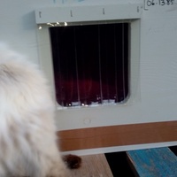 photo de livraison pour Chats-sos