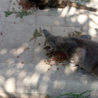 photo de livraison pour Hajar Aourz