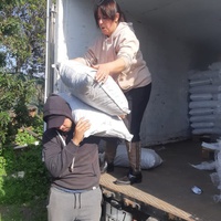 photo de livraison pour Comme Chiens et Chats Maroc