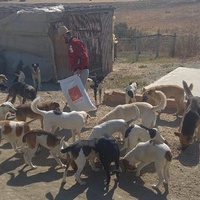 photo de livraison pour Sanctuaire de la Faune de Tanger (SFT)