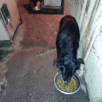 photo de livraison pour Ivana Nikolić
