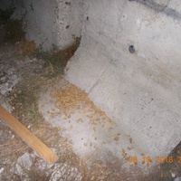 photo de livraison pour Pro Animals Finland ry